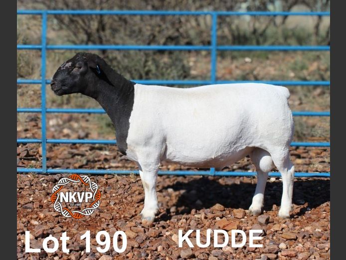 2841250010 | BRAKPOORT BOERDERY