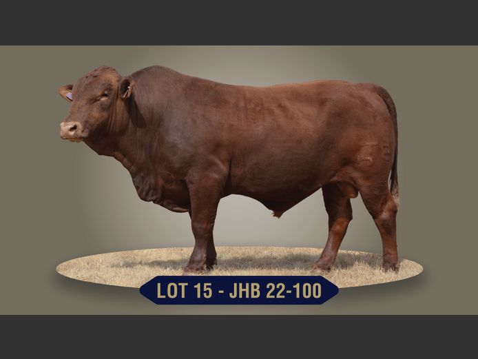 JHB220100 | BOONS BOERDERY CC