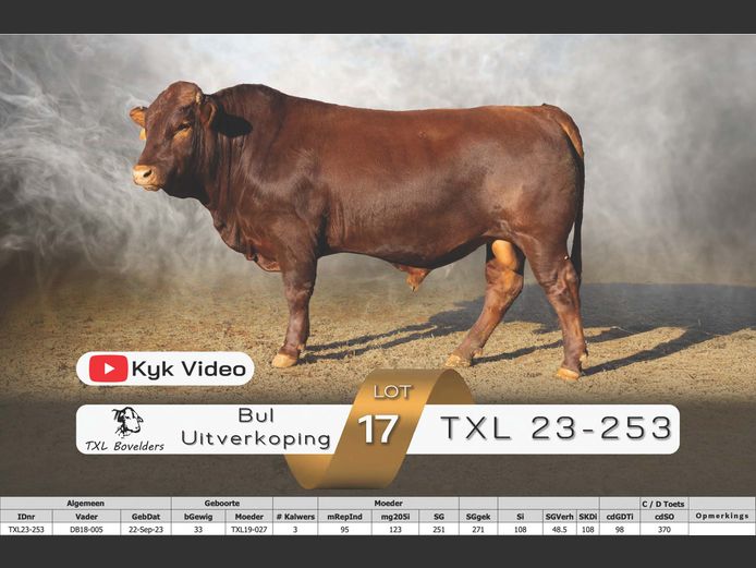 TXL23-253