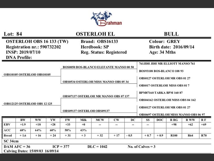 OSTERLOH BRAHMAN OBS16133