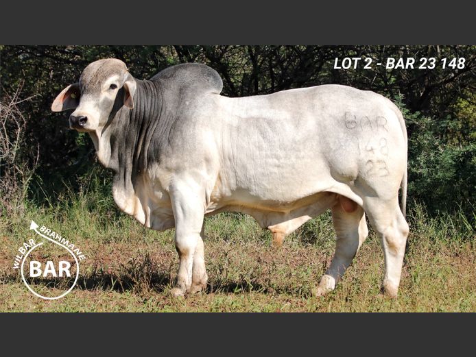 BAR23148 | BARNARD WJ