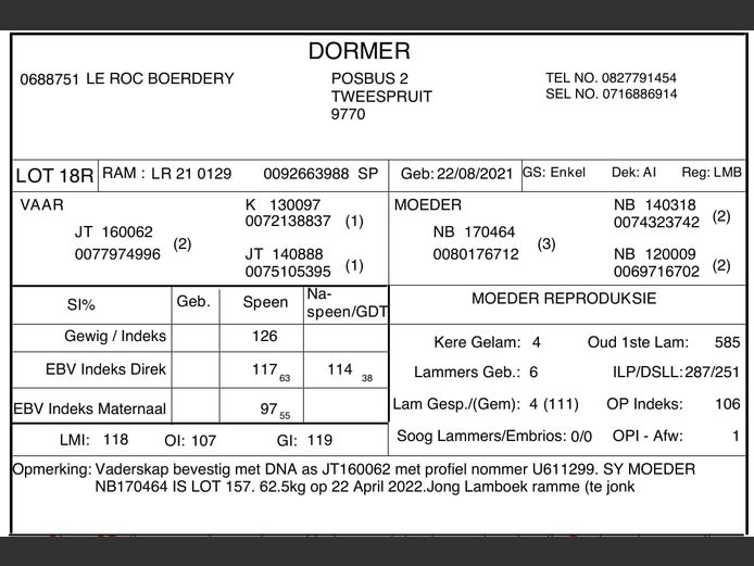 DOMMLR210129