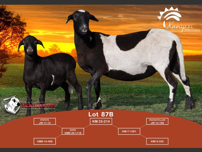 KM 23-214 | Barry & Naledi Roberts - Kanyezi Meatmasters, Nelspoort