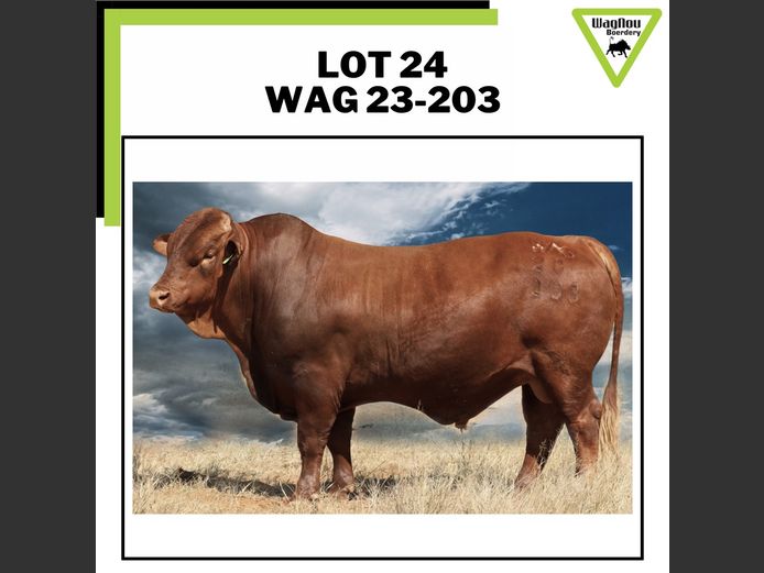 WAG 230203 | WAGNOU BOERDERY