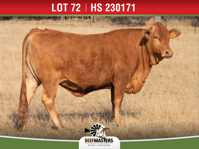 HS 230171 | G.A. STEENKAMP