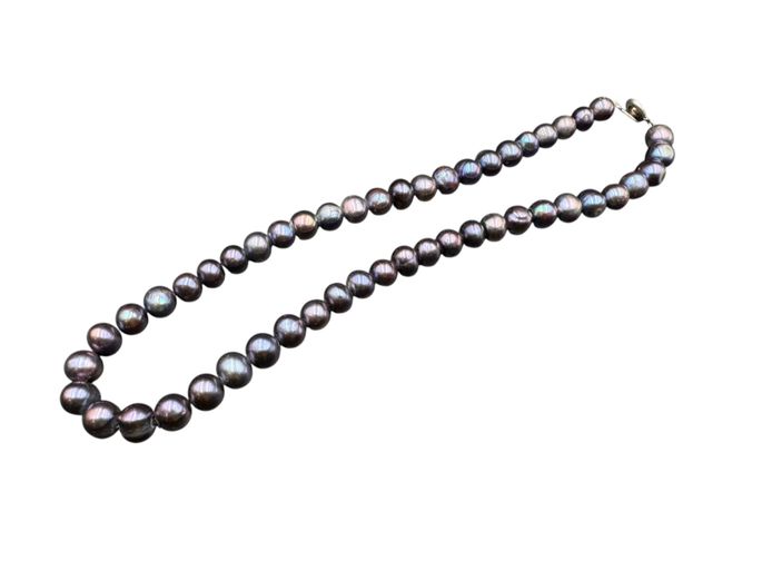 Vintage Black "Peacock" Cultured Pearl Single-Strand Necklace – Vibrant Iridescent Overtones