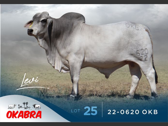 22-0620 OKB