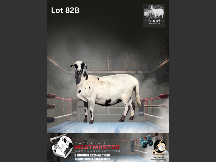 NM21 1320 | Nagel Meatmasters