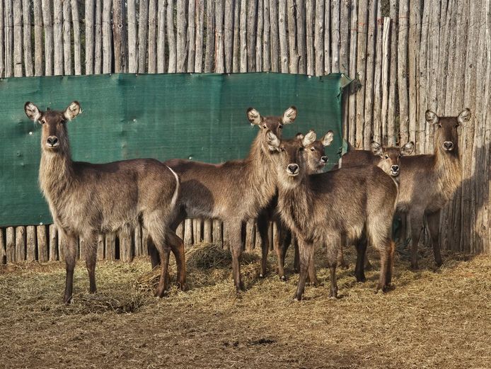 WATERBOK | ZEEKOEVALLEY