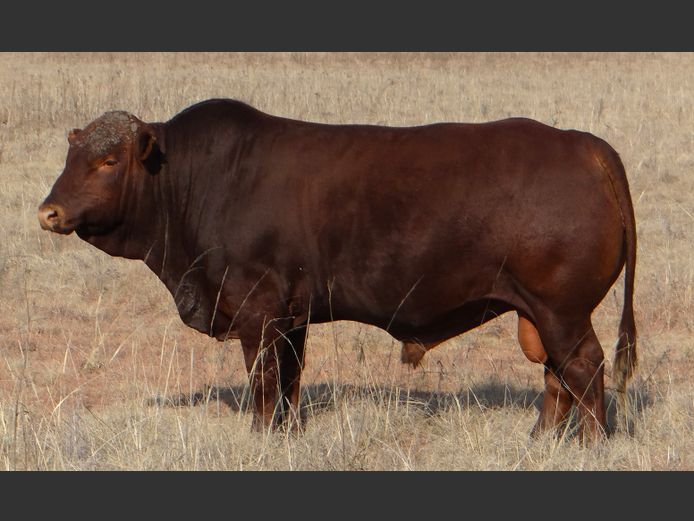 CCW 230068 Pp(c) | C. CILLIERS