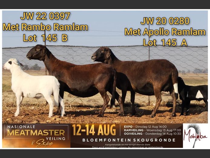 JW 20 0278 | AANGETEKEN | Johan William Morrison - Mohimba Meatmasters