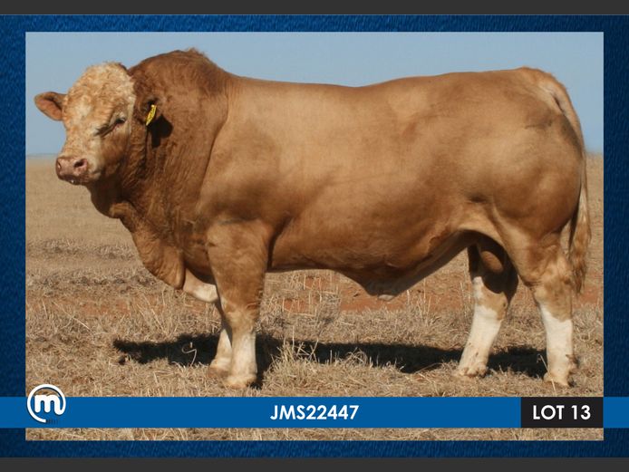 JMS22447 