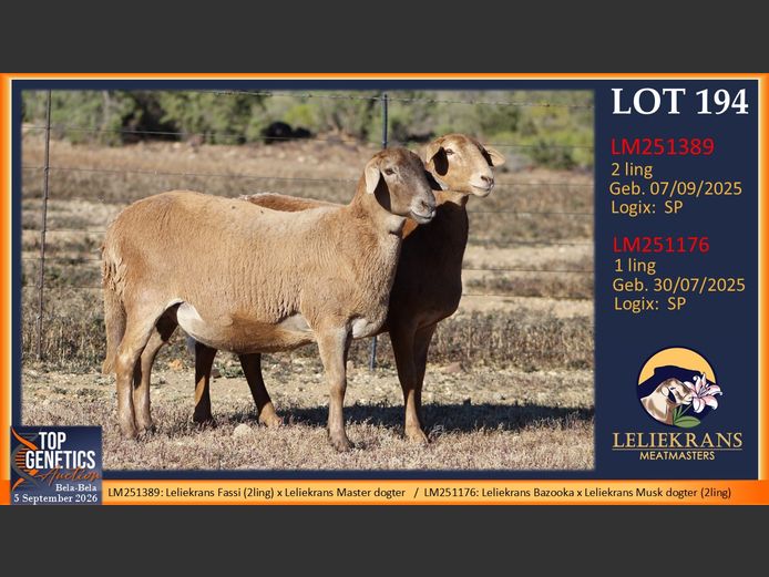 Ewes | LELIEKRANS MEATMASTERS