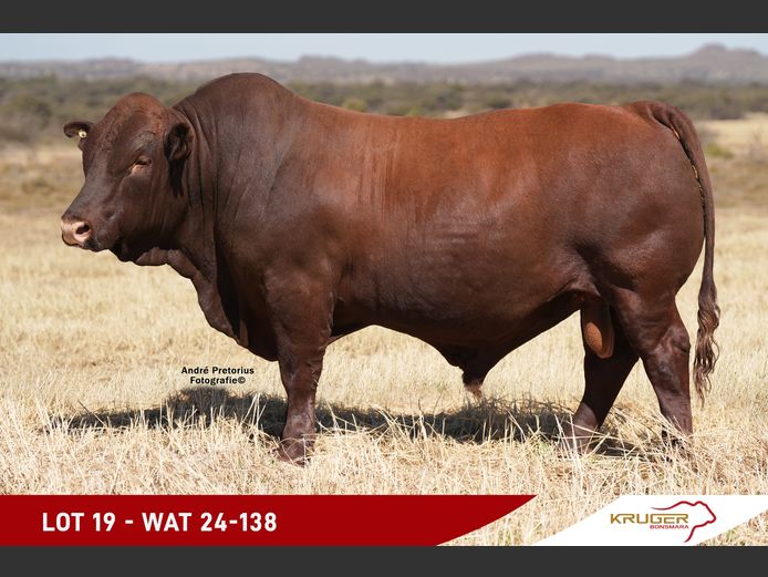 WAT240138 | KRUGER BOERDERY