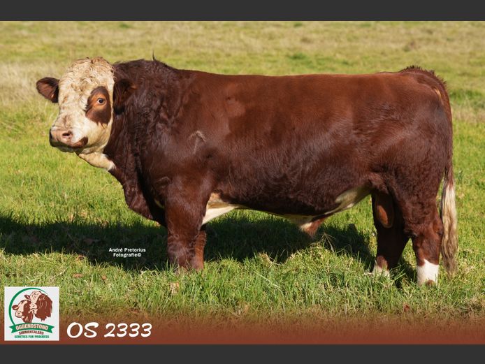 OS2333 | OGGENDSTOND BOERDERY CC