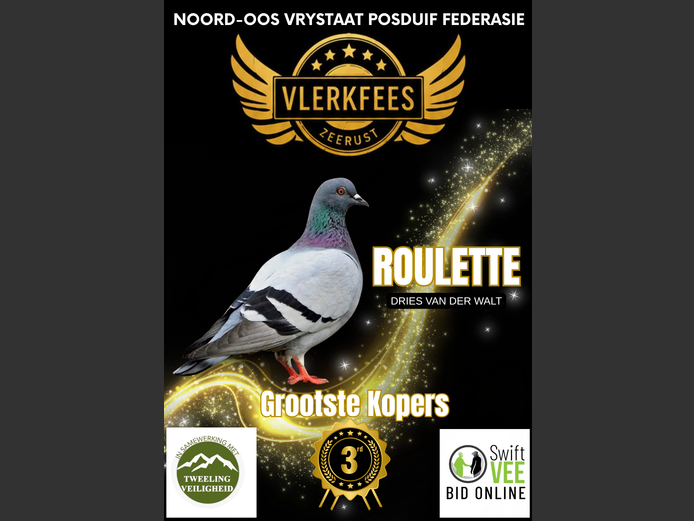 ROULETTE | DRIES VAN DER WALT