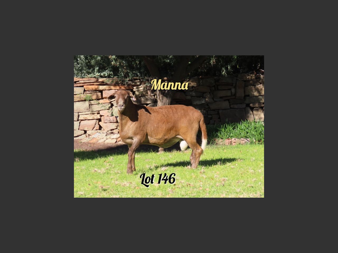 images