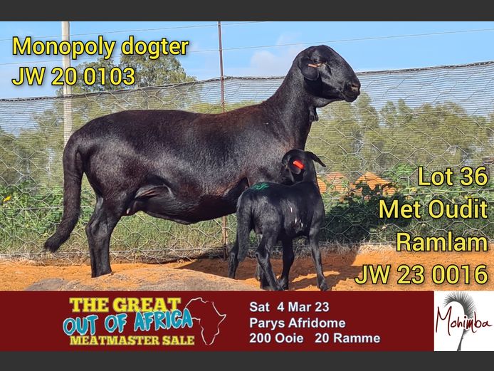 JW 23 0016 | Mohimba Meatmasters