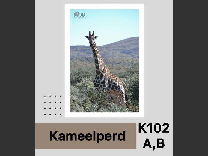 KAMEELPERD | M&T