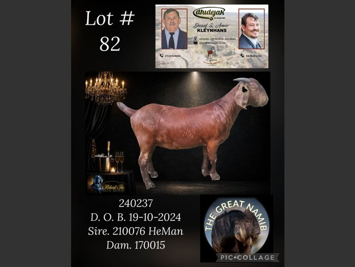 KR62240237 | Dhidijak Kalahari red stoet