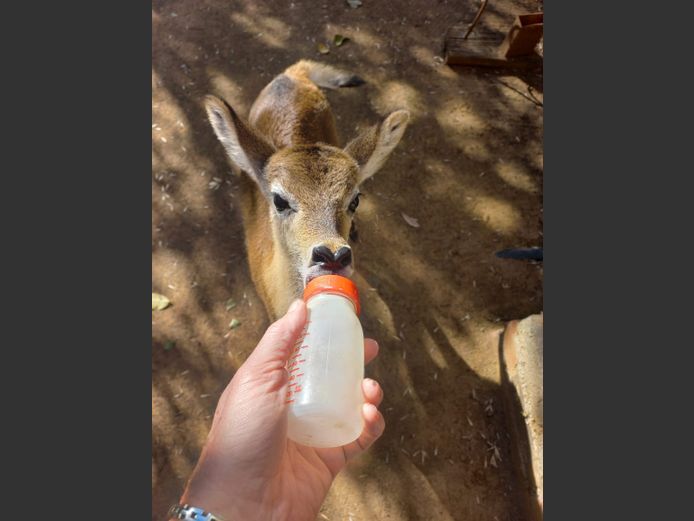 Lechwe Ooitjie