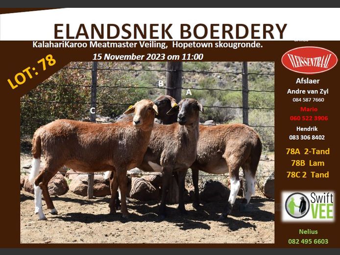 RSL 78 A | ELANDSNEK BOERDERY