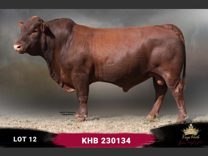 KHB 230134