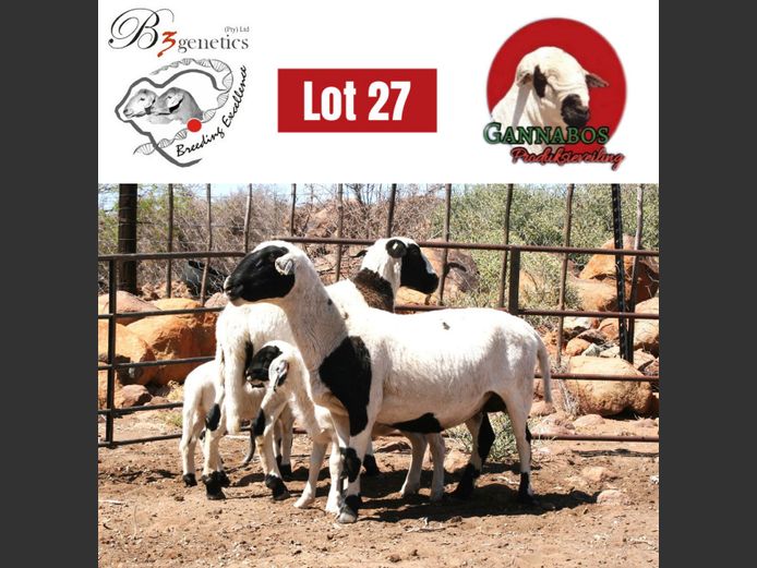 BBB23-0015 | B3genetics Pty Ltd