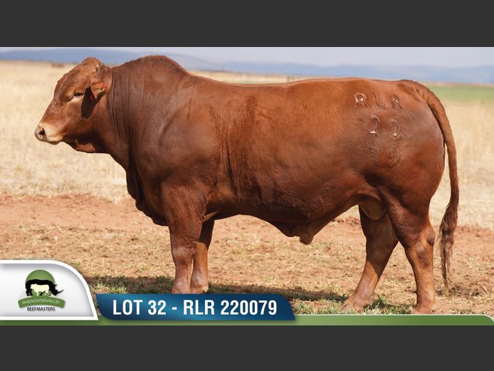 RLR 220079 | RHENOSTERVALLEI