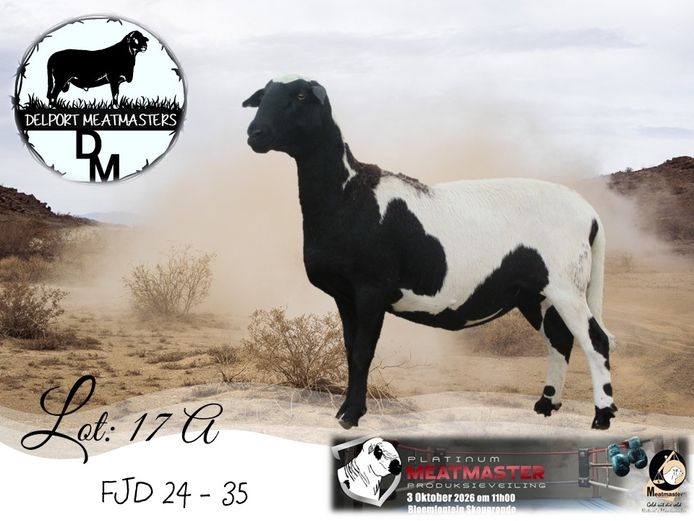 FJD 24-035 | Delport Boerdery