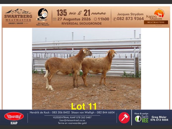 24.316 | KAROO SHALOM
