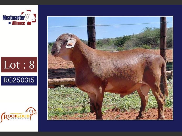 5343 | Rooigoud Meatmasters