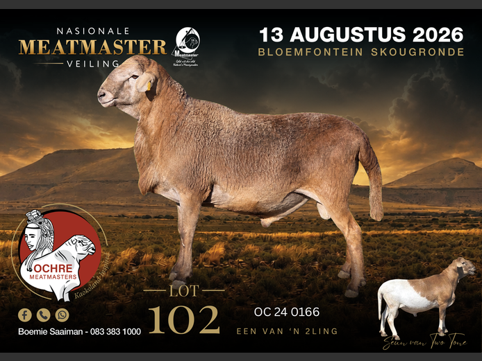 OC 24 0166 | Ochre Meatmasters