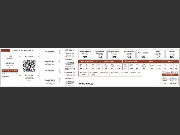 AG19-1088 #NV