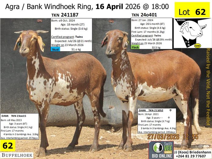 241187TKN | 240401TKN | KOOS BRIEDENHANN