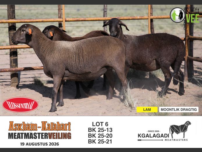 BK 25-13 | BARRI KNOETZE