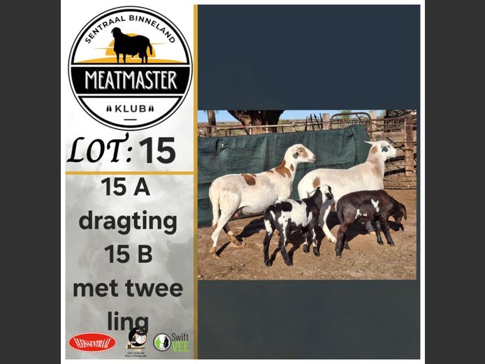 Ooie | Môrewag Meatmasters