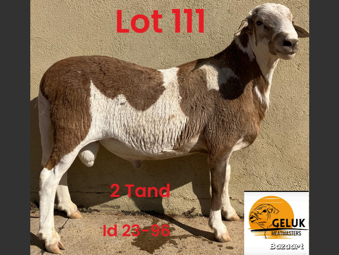 23-96 GM3 | GELUK MEATMASTERS