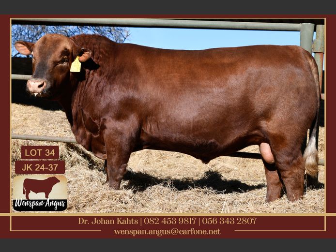 JK240037 | J. KAHTS