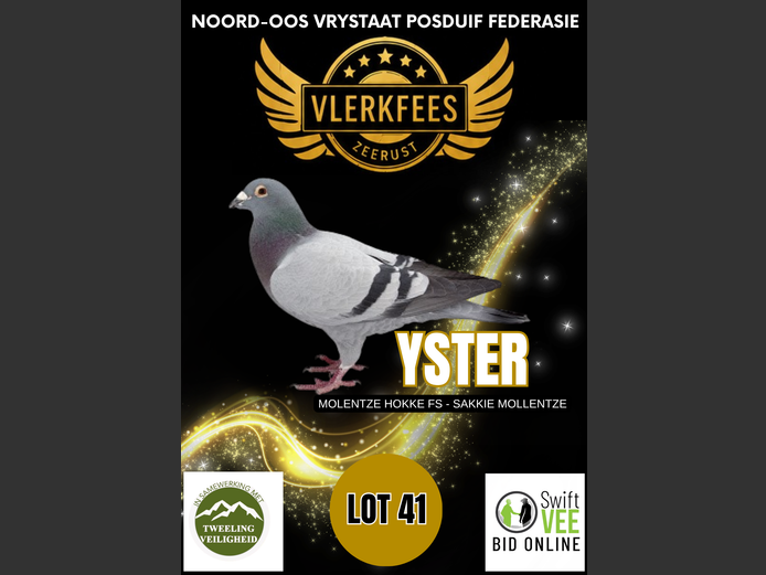 YSTER | MOLENTZE HOKKE FS - SAKKIE MOLLENTZE