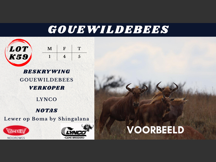 GOUE WILDEBEES