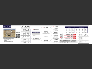 genetic_data