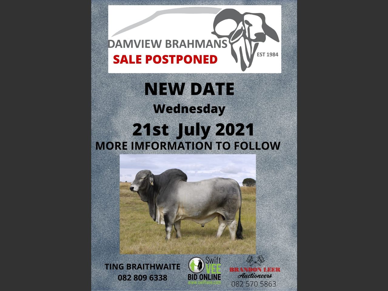 DAMVIEW BRAHMANS SALE | SwiftVEE | South Africa’s Leading Online ...