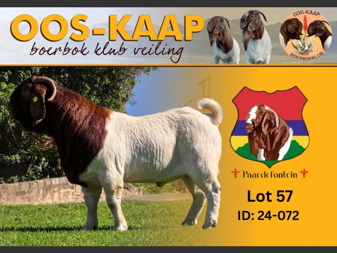 24-072 | Paardefontein BBS