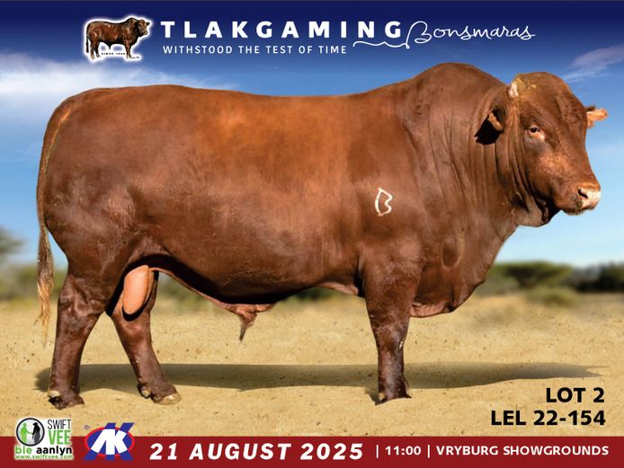 LEL220154 | LEE & SON