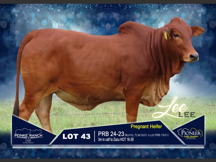 PRB 240023 | PEINKE RANCH