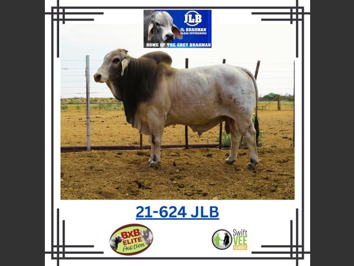 21-0624JLB | JL BRAHMAN