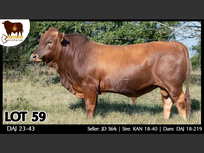 DAJ 230043 | J.D. STIRK