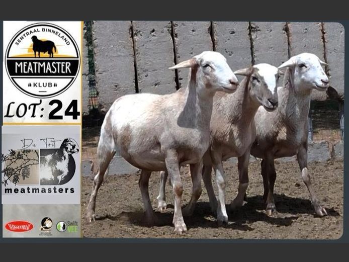 Ooie | Du Toit Meatmasters