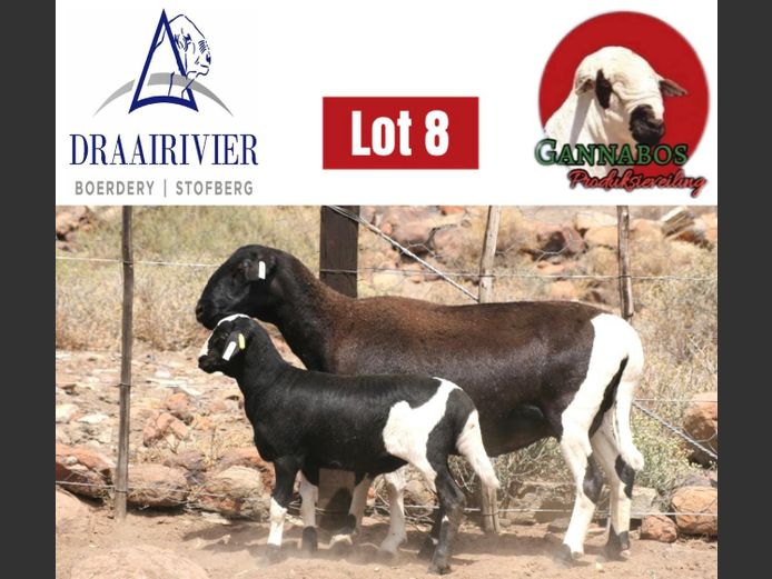 NS 939 | Draairivier Boerdery